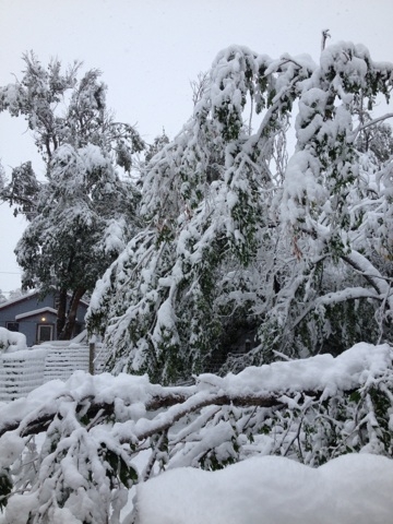 Winter Storm Atlas